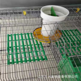 纯原料兔舍用塑料垫板兔笼地板兔舍漏粪板规格、图片