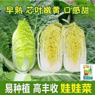 ޲˷NļS޲˷NСײͥԺN̨߲˷N