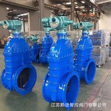 ǭM Z945X-16Q DN500ˮ̎ 늄ly ܛܷ⎧ֲٿ