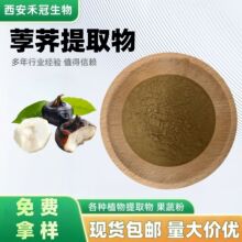 荸荠提取物马蹄提取物地栗水栗乌芋凫茈浓缩粉规格齐全现货供应优