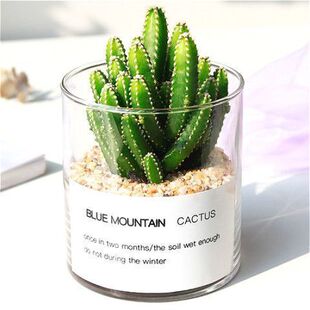 �����������ƶ���ֲ��M���k���������ݗ�����նY�����Բ���ƿ