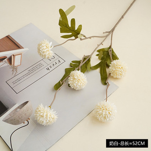 ����5�^��ɫ�ѹ�Ӣ�ٻ��b��Ĕz��ˇ���滨ƹ����ս���