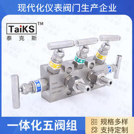 五阀组 厂家供应 一体化五阀组 304不锈钢阀组一体化内螺纹五阀组