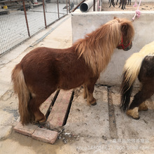 �±����R�������u �����R�ж�� �F؛�O���mС���R���^���U�Rƥ