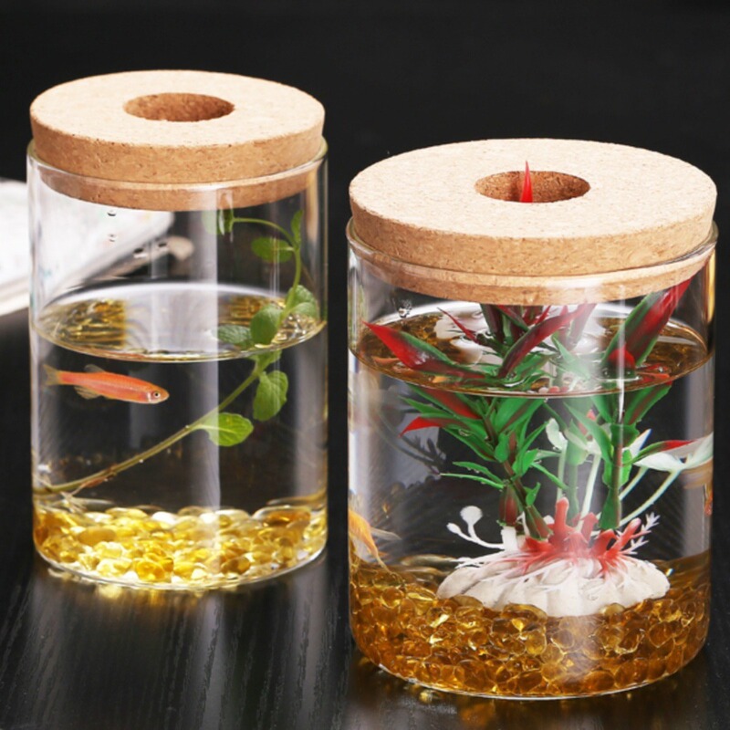 Micro-landscape seaweed ball ecological hydroponic green plant vase desktop high borosilicate glass mini ornaments viewing bottle
