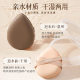 Bodybuilding Chuangyan Marshmallow Powder Puff Foundation BB Cream Special Isolation Dry and Wet Dual-use Super Soft Service Sponge Air Cushion