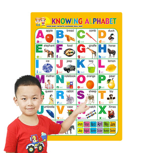 Early Education Export Stereo Concave and Convex 3D Cross-Border Silent Wall Chart Amazon Paper English Wall Chart Manufacturer Direct Supply Wholesale
