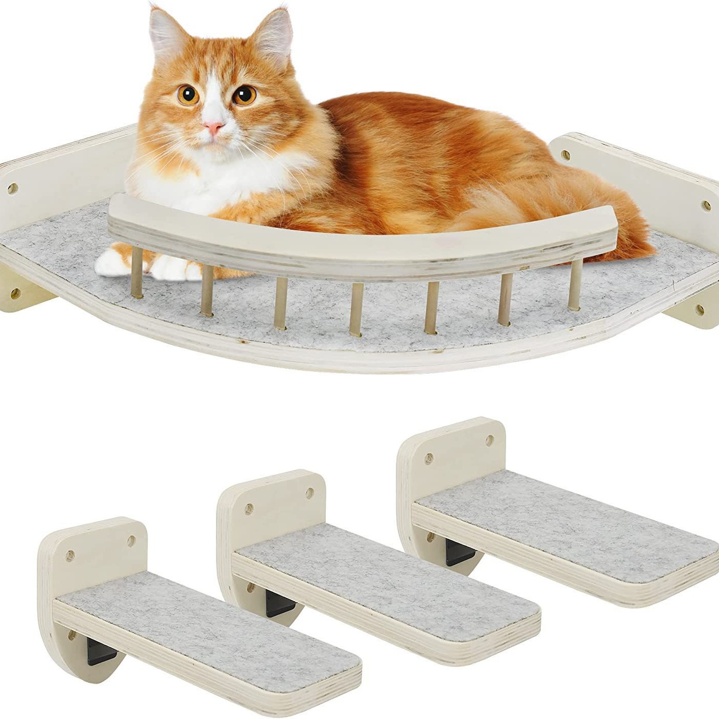 2024-08-21 09:02:20.jpg