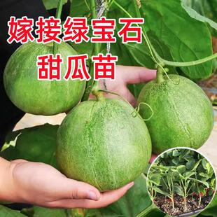 �G��ʯ�������������۳����ִ���ϷN�����ļ������̨��������