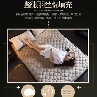 W Mattress Home Sleeping Mat././. Dormitory Single Soft Cushion Thickeneded Rental Mat Double Mat Quilt Z