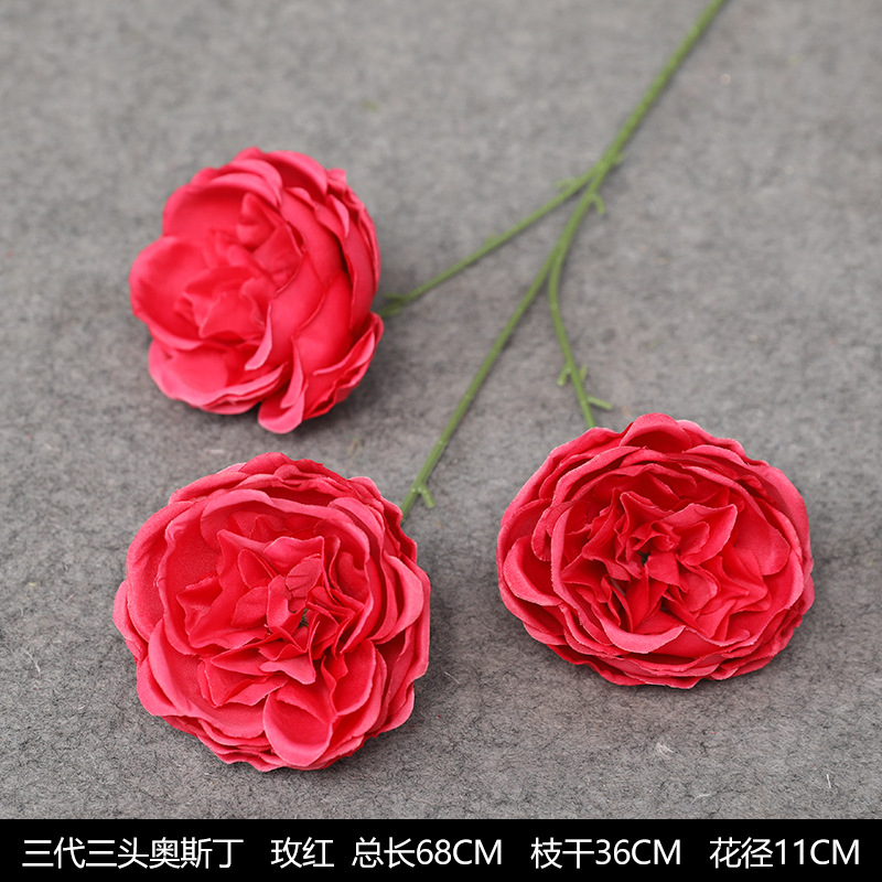 3 세대 3 헤드 오스틴