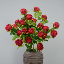 6^Aõ֦͹õѻT鹻hb辰廨ٔ^