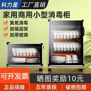 Disinfection Cabinet for Home and Commercial Use, Vertical Small 2025 New Model Disinfection Cupboard for Kitchen Bowls and Chopsticks, Countertop Type