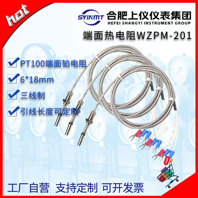 上仪仪表WZPM-201定制端面热电阻 φ6*18mm三线制 0~500℃M8*0.75
