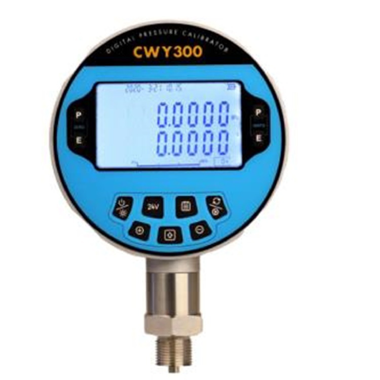 数字高精度压力表 数字压力校验仪XJ11/CWY300 库号：M392123