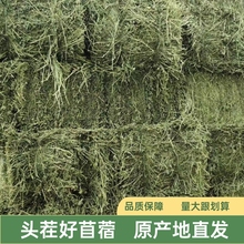 �ϻ���ޣ�ɲ�����񄌣�ò�ţ�R���Bֳ�S���τ���@�R��������ݰ�