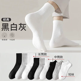 运动休闲棉袜;船袜、隐形袜;分趾袜