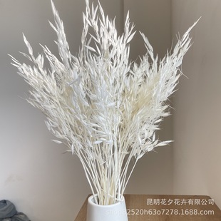 �����l����f�ҾӔ[�Oˇ�g�ɻ��ɲ���@ֲ��Ҿ��b��Ĕz�����滨
