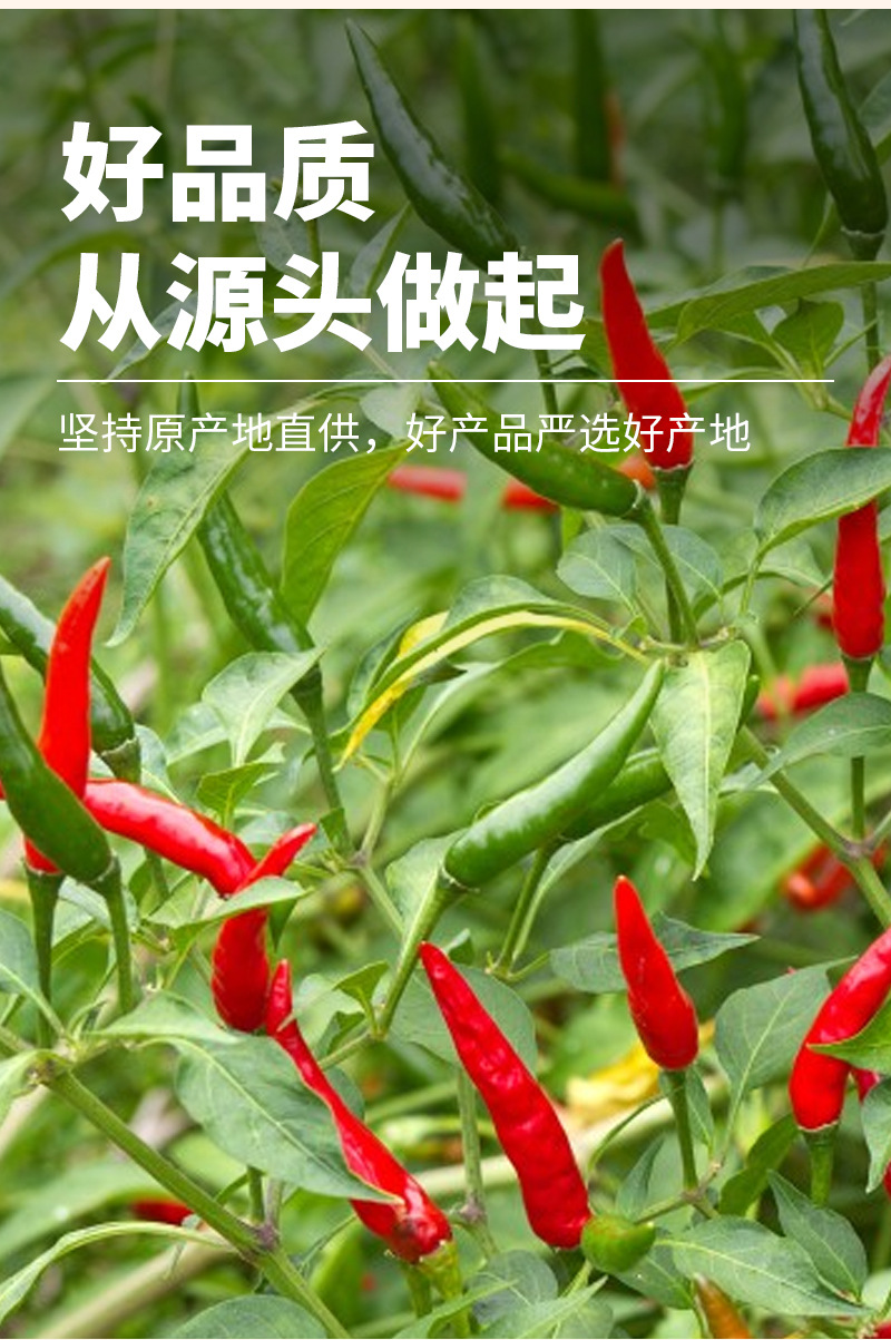 Ghost Pepper Dried Chili (Bhut Jolokia) — Extra Hot, Extra Fragrant Whole Dried Peppers key features
