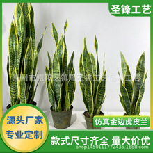 ���Ʒ����߅��Ƥ�m���W�Ꭷֲ�������m����ֲ���辰����Gֲ���l