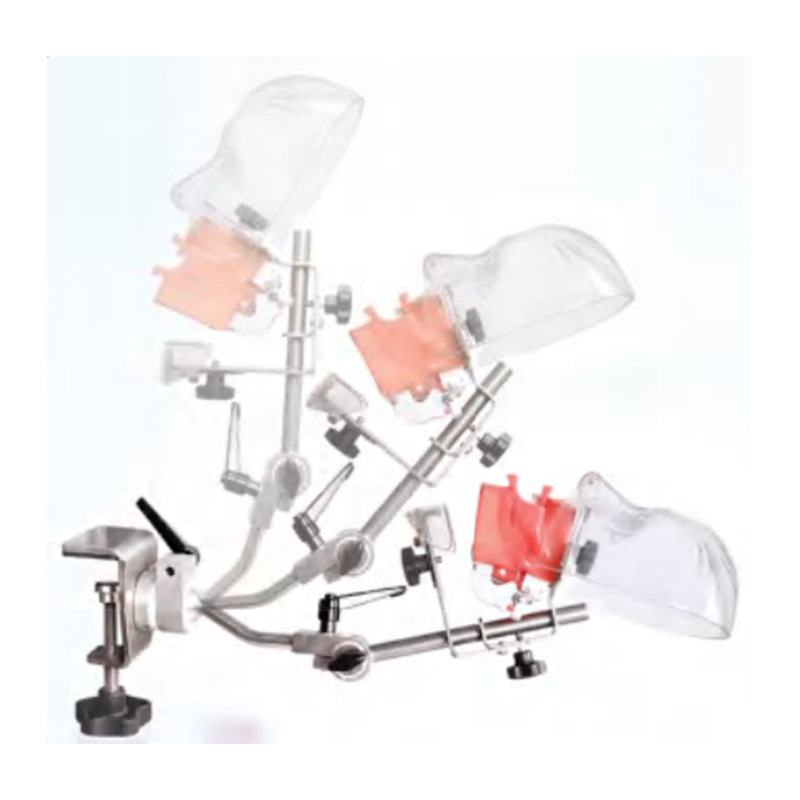 Modelo de simulación dental simple de modelo de práctica de enseñanza oral tipo reposacabezas modelo de cabeza simple de sujeción de mesa modelo de simulación de cabeza image 27