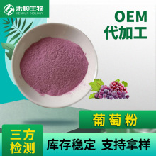 葡萄粉99% 全水溶 固体饮料原料 现货供应 量大优惠 葡萄果粉
