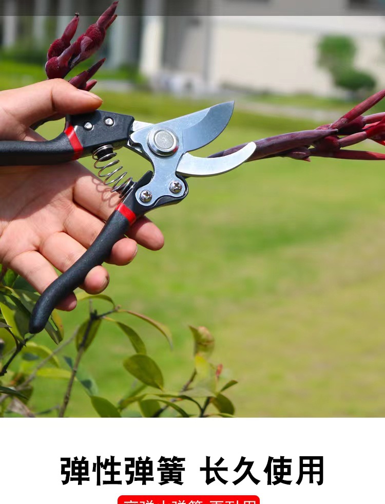 微信图片_20220808113833