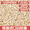 Peru Quinoa  Plateau Coarse Cereals wholesale Retail South America Country of Origin Quinoa