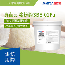 夏盛食品级真菌a淀粉酶01Fa 烘焙酶制剂 面粉改良剂 提面包质量