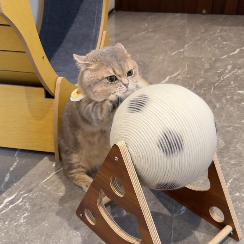 Cat Toy Cat Scratching Board Wear-Resistant Sisal Ball Cat Scratching Post Claw Grinding Cat Climbing All-In-One Pet Use