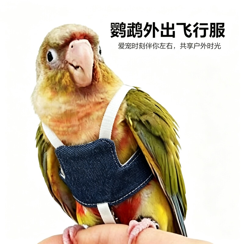 Specialized Clothing for Parrots, Harnesses, Flight Leashes, Outdoor Flight Suits, Bird Walking Gear, Lovebird Cockatiel Vests Specialized Clothing for Parrots, Harnesses, Flight Leashes, Outdoor Flight Suits, Bird Walking Gear, Lovebird Cockatiel Vests