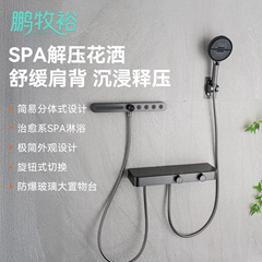 全铜家用淋浴花洒套装浴室两功能简易花洒喷头增压大置物台淋浴器