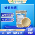 污水处理生物菌种好氧菌种好氧强化菌曝气池降解COD总磷 好氧菌