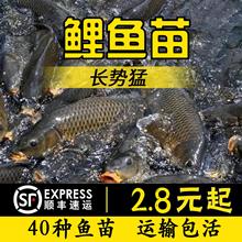 �Ĵ������~���ȫ���~���~���~�Ĵ��ݽz���~���w���ص�ˮ�Bֳʳ��