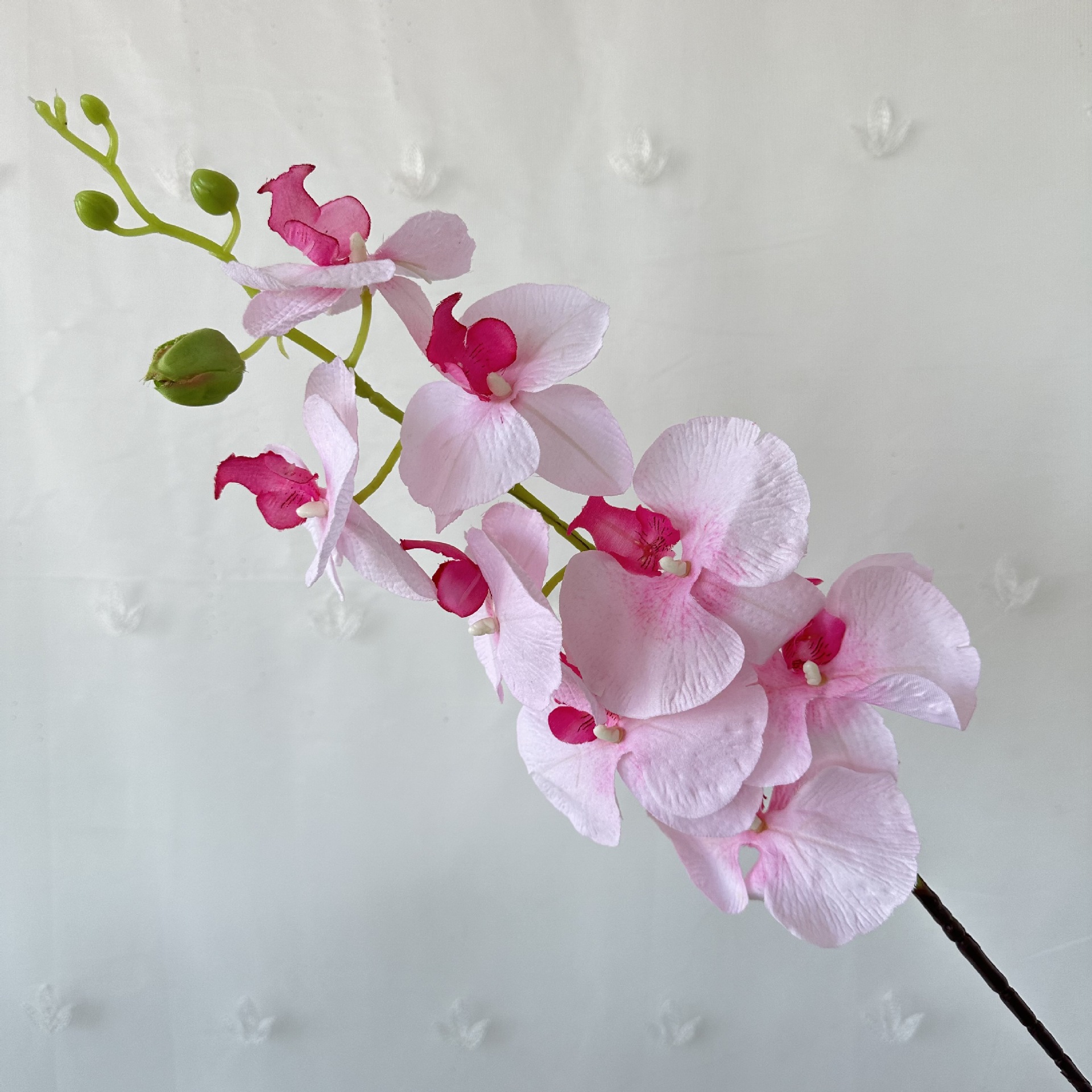 Los fabricantes suministran flores secas simuladas en la sala de estar, flores de jarrón, tela de pelo de ocho cabezas, plantas de simulación de Phalaenopsis, adornos de flores secas