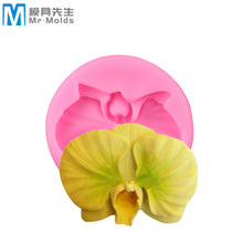 �����m���zģ��DIY���zģ���ɿ��������b���޹ʯ�෭�ǹ��zģ��