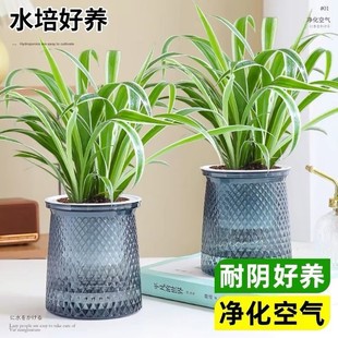 ��߅���m�����҃ȾGֲˮ�������՚�����ȩ�ļ�����