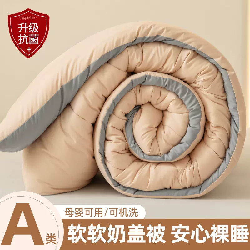 双面磨毛秋冬被纯色拼色亲肤保暖ins风裸睡化纤被子200x2301.8m床
