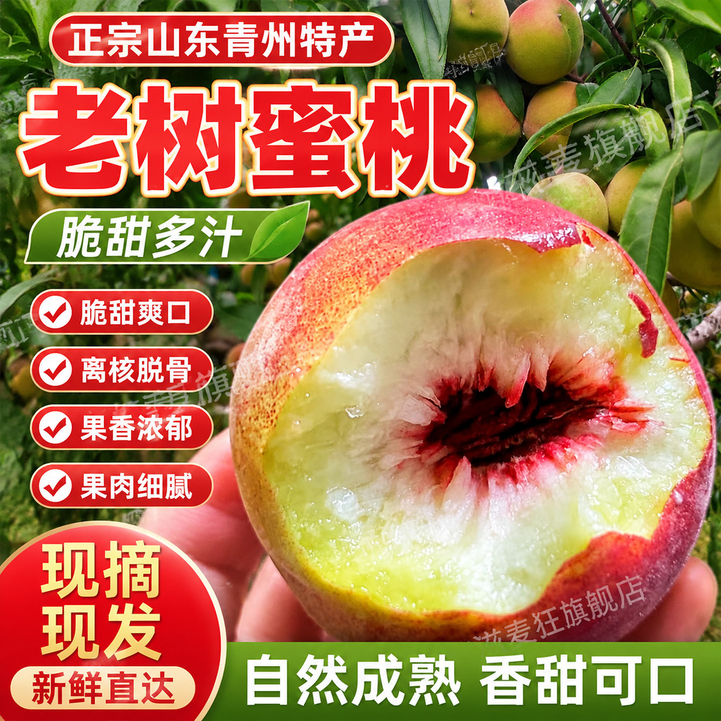 山东青州蜜桃毛桃硬桃水蜜桃寒露蜜桃土特产新鲜精品桃子脆甜包邮