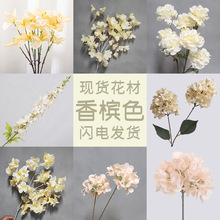 仿真花香槟色叶子玫瑰牡丹绣球大飞燕大柏叶油菜叶人造花路引假花