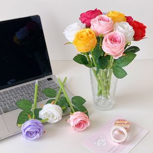 Hisocute����õ�廨�A��P���ֵ�W�������k�����ֹP�ٻ��廨�b�