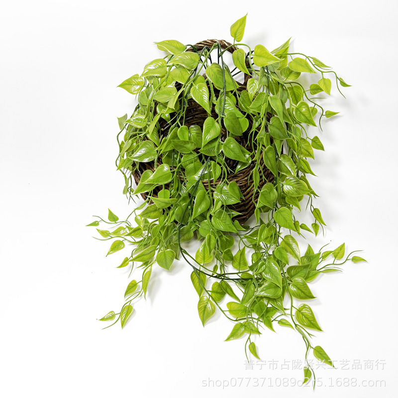 Amazon Simulation Sweet Potato Leaf Goto Wall -mounted Luo Ye decorative store Factory wholesale