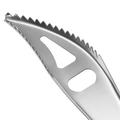 Cross-border Amazon fish scale planer creative beer bottle opener multi-functional stainless steel bottle opener kitchen gadget