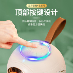 Home Smart Bluetooth Speaker Wireless Microphone Children's Microphone Audio All-in-One Phone Karaoke Singing Outdoor