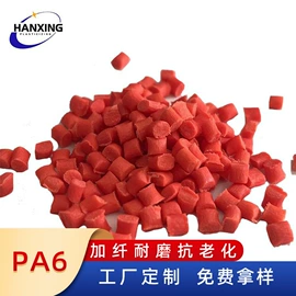 PA6;PA66;PPA