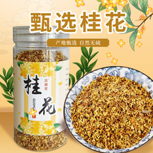 批发桂花桂花/新货金桂花干广西微波桂花散装