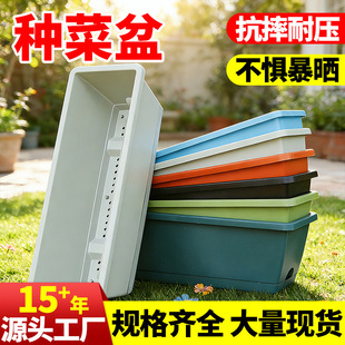 �Ӻ����������ϷNֲ���̨��ͥ�N���ش��L�����L�l��֬�N����