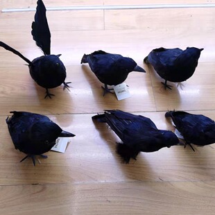 Դ�^���S����������ë���f���f�}����ɫС���f�����R�d������f