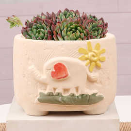 简约韩式多肉花盆组合套装创意肉肉植物盆栽园艺清仓批发一件代发