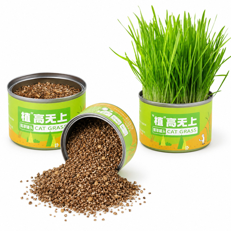 High Planting Cat Grass Pot Lazy Cat Grass Planting suit Cat Snacks Cat Grass Hair Balls Wheat Seedling Cat Grass Pot
